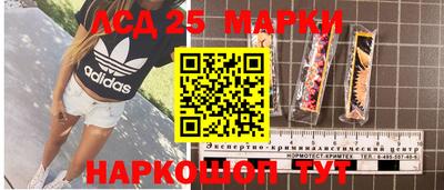 ПСИЛОЦИБИНОВЫЕ ГРИБЫ Жуковский