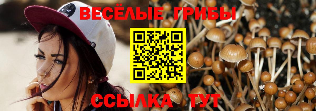 Галлюциногенные грибы Psilocybe  Вход с VPN  Нововоронеж 